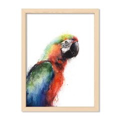 Cuadro Parrot