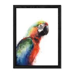 Cuadro Parrot en internet