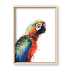 Cuadro Parrot - El Nido - Tienda de Objetos