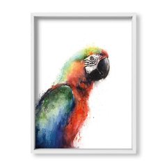 Cuadro Parrot - tienda online