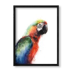 Imagen de Cuadro Parrot