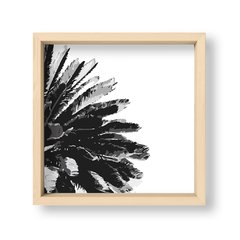 Cuadro Black Palm Tree - El Nido - Tienda de Objetos