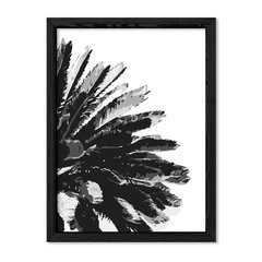 Cuadro Black Palm Tree en internet