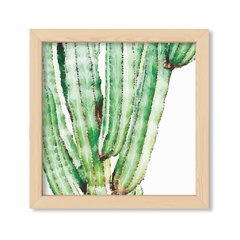 Cuadro Cactus Watercolor