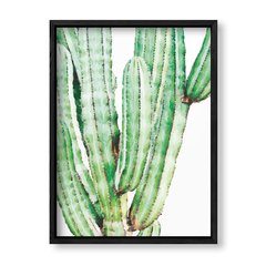 Imagen de Cuadro Cactus Watercolor
