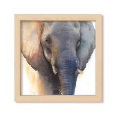 Cuadro Elephant Watercolor