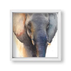 Cuadro Elephant Watercolor - tienda online