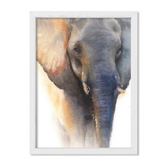 Cuadro Elephant Watercolor - comprar online