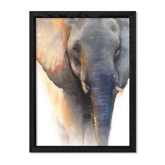 Cuadro Elephant Watercolor en internet