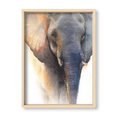 Cuadro Elephant Watercolor - El Nido - Tienda de Objetos