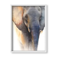 Cuadro Elephant Watercolor - tienda online