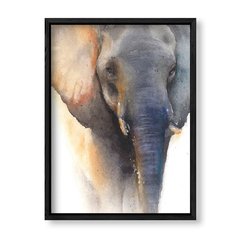 Imagen de Cuadro Elephant Watercolor