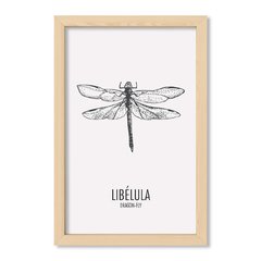 Cuadro Libelula