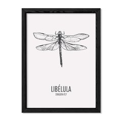 Cuadro Libelula en internet