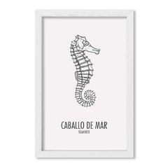 Cuadro Caballo de mar - comprar online