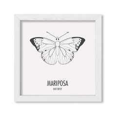 Cuadro Mariposa - comprar online
