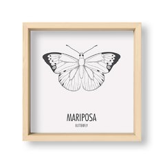 Cuadro Mariposa - El Nido - Tienda de Objetos