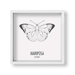 Cuadro Mariposa - tienda online