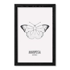 Cuadro Mariposa en internet