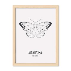 Cuadro Mariposa