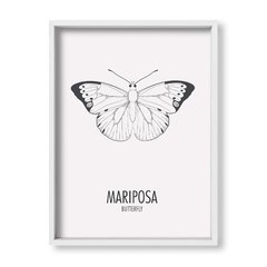 Cuadro Mariposa - tienda online