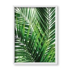 Cuadro Botanic leaves - tienda online