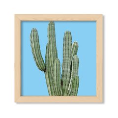 Cuadro Cactus en colores