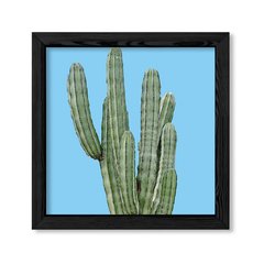 Cuadro Cactus en colores en internet