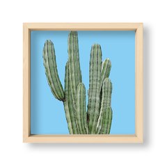 Cuadro Cactus en colores - El Nido - Tienda de Objetos