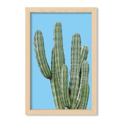 Cuadro Cactus en colores