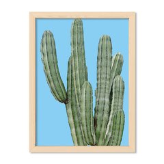 Cuadro Cactus en colores