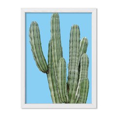 Cuadro Cactus en colores - comprar online