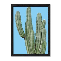 Cuadro Cactus en colores en internet