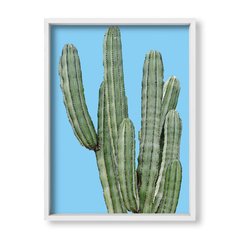 Cuadro Cactus en colores - tienda online