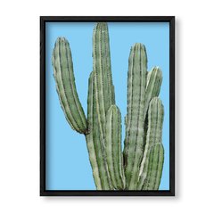 Imagen de Cuadro Cactus en colores