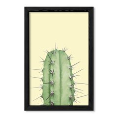 Cuadro La punta del cactus en internet