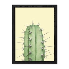 Cuadro La punta del cactus en internet