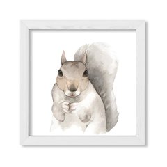 Cuadro Kid Squirrel - comprar online