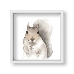 Cuadro Kid Squirrel - tienda online