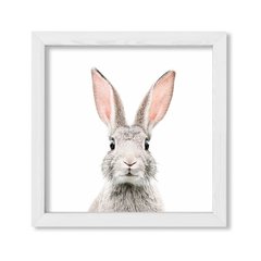 Cuadro Bunny - comprar online