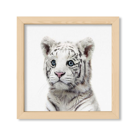 Cuadro Baby Tigre blanco