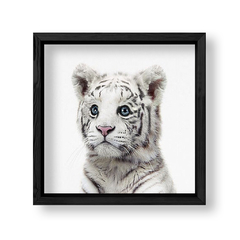 Imagen de Cuadro Baby Tigre blanco