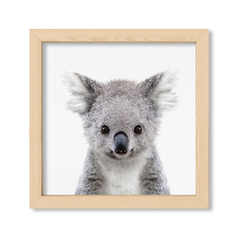 Cuadro Baby Koala