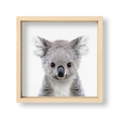 Cuadro Baby Koala - El Nido - Tienda de Objetos