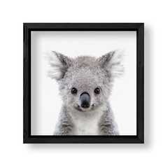 Imagen de Cuadro Baby Koala
