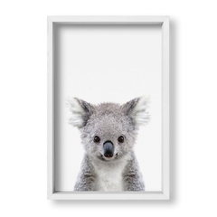 Cuadro Baby Koala - tienda online