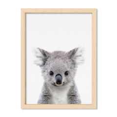 Cuadro Baby Koala