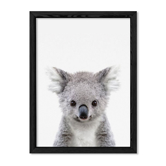 Cuadro Baby Koala en internet