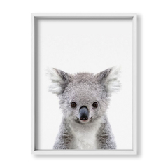 Cuadro Baby Koala - tienda online