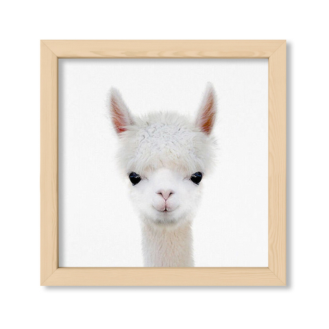 Cuadro Baby Llama